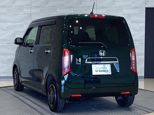 Ｎ－ＷＧＮ Ｌスタイル＋ビター（9枚目）