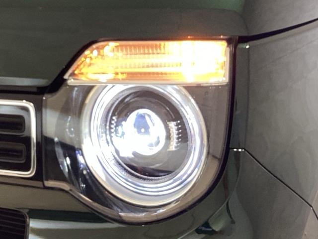 Ｎ－ＷＧＮ Ｌスタイル＋ビター（10枚目）