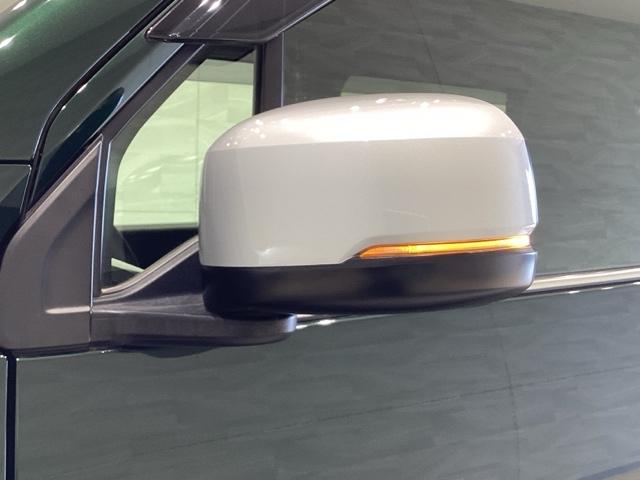 Ｎ－ＷＧＮ Ｌスタイル＋ビター（11枚目）