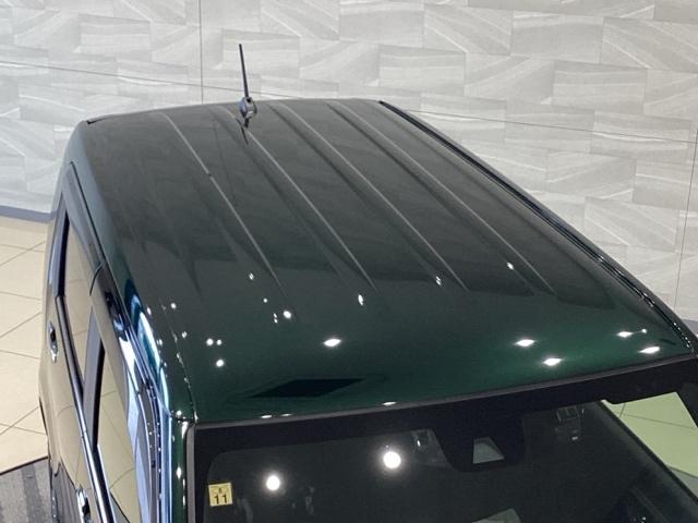 Ｎ－ＷＧＮ Ｌスタイル＋ビター（14枚目）