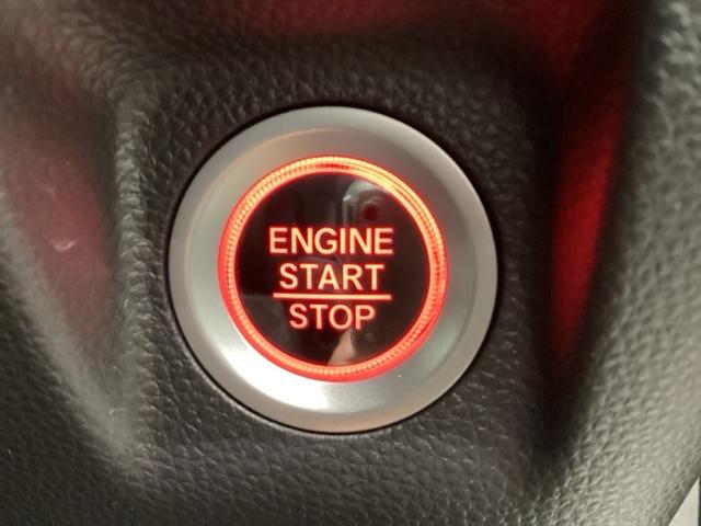 Ｎ－ＷＧＮ Ｌスタイル＋ビター（42枚目）