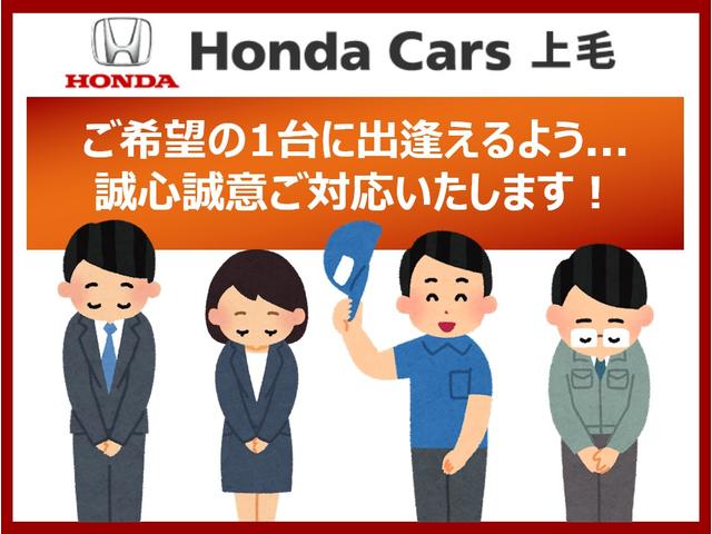 ヴェゼル e:HEVX・HuNTパッケージ 雹害車(72枚目)