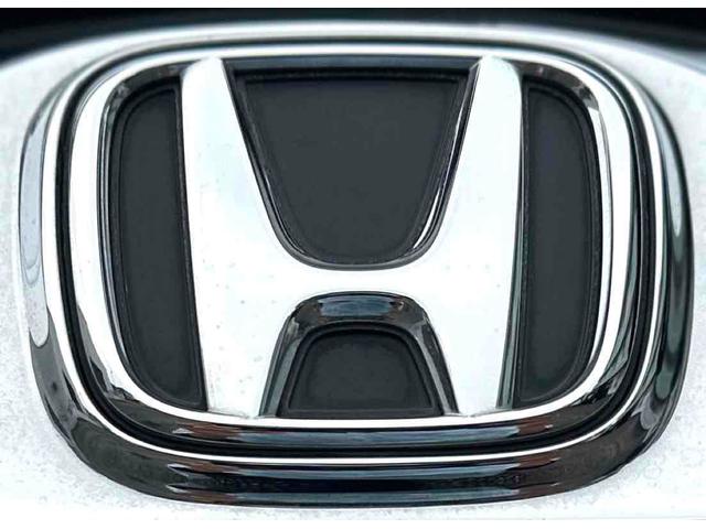 フィットシャトルハイブリッド ハイブリッド ファインライン ETC バックカメラ ナビ TV オートクルーズコントロール 電動格納ミラー CVT 盗難防止システム 衝突安全ボディ アルミホイール CD DVD再生 USB ABS ESC エアコン(42枚目)