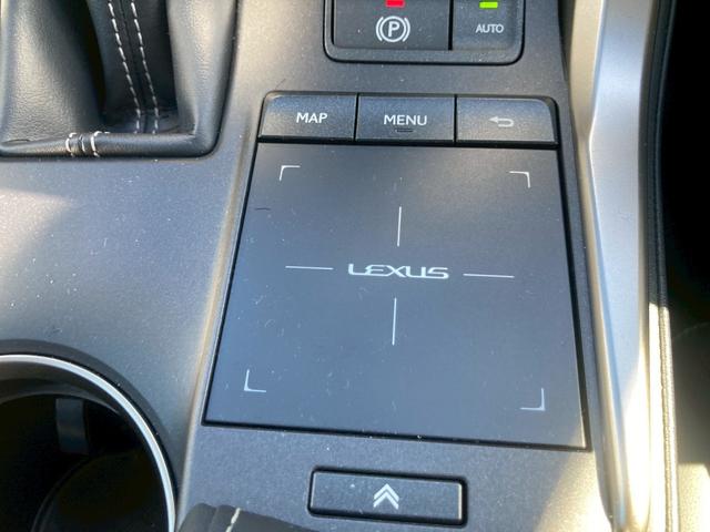 NX NX300 Iパッケージ メーカー10.3インチナビ バックモニター TV セーフティシステムプラス 角型3眼LEDヘッドランプ パワーバックドア Ltex合皮シート シートヒーター SRSエアバック ETC2.0 禁煙車(34枚目)