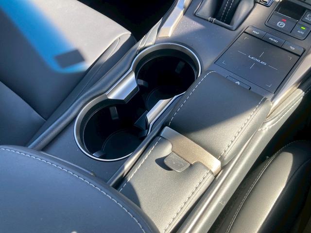 NX NX300 Iパッケージ メーカー10.3インチナビ バックモニター TV セーフティシステムプラス 角型3眼LEDヘッドランプ パワーバックドア Ltex合皮シート シートヒーター SRSエアバック ETC2.0 禁煙車(35枚目)