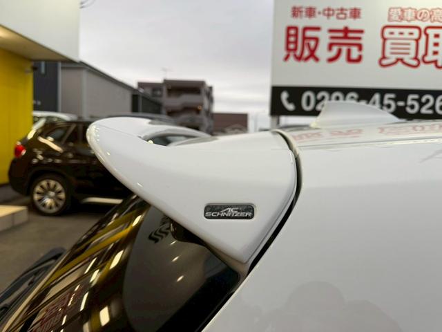 1シリーズ 118i Mスポーツ エディションシャドー メーカーナビ ACSchnitzerフロントリップ ACSchnitzerルーフスポイラー Mスポアップグレードパッケージ(レザーシート/パワーシート/HiFiスピーカー) BLITZ車高調 禁煙車(48枚目)