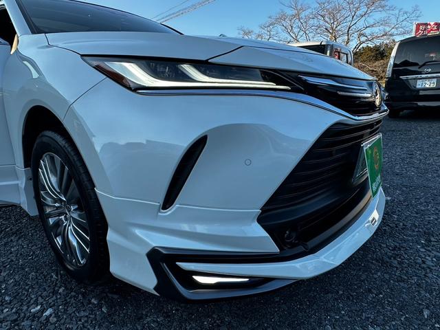 �t�����g�t�H�O�����v