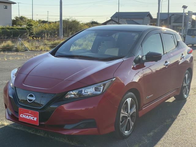 リーフ Ｘ　Ｖセレクション　衝突軽減ブレーキ　ブラインドスポットモニター　純正ナビ　　フルセグＴＶ　ＢＴ　ＵＳＢ　全方位カメラ　クルーズコントロール　シートヒーター　ドライブレコーダー　電動格納ミラー　ＬＥＤ　オートライト（4枚目）