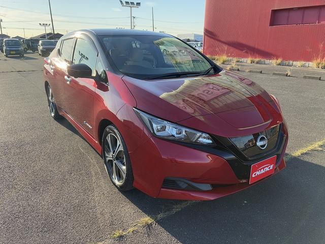 リーフ Ｘ　Ｖセレクション　衝突軽減ブレーキ　ブラインドスポットモニター　純正ナビ　　フルセグＴＶ　ＢＴ　ＵＳＢ　全方位カメラ　クルーズコントロール　シートヒーター　ドライブレコーダー　電動格納ミラー　ＬＥＤ　オートライト（6枚目）