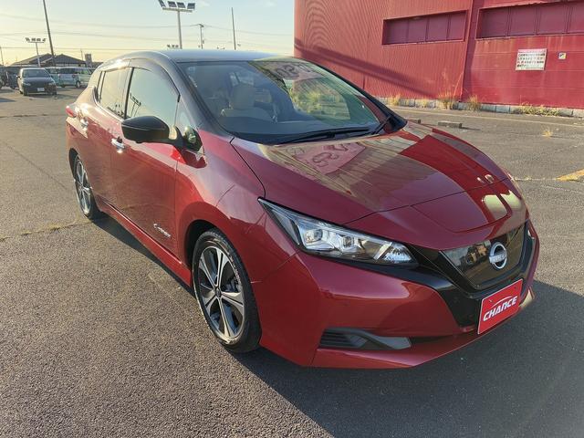 リーフ Ｘ　Ｖセレクション　衝突軽減ブレーキ　ブラインドスポットモニター　純正ナビ　　フルセグＴＶ　ＢＴ　ＵＳＢ　全方位カメラ　クルーズコントロール　シートヒーター　ドライブレコーダー　電動格納ミラー　ＬＥＤ　オートライト（51枚目）