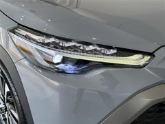 �̣ţĥإåɥ饤�ȤǤ����ǥ����������褯�ȤƤ����뤤�Τǡ���֤����Ԥ䰭ŷ���Ǥ�¿��Ǥ���������Ĺ��̿�� 4