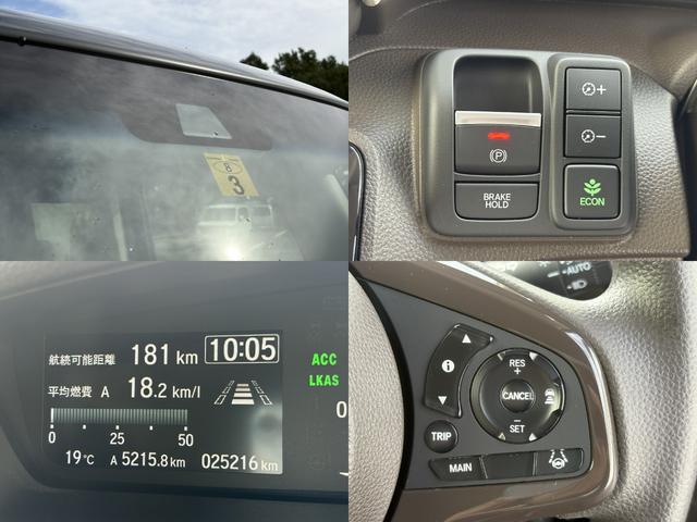 N-BOX L 1オーナー・センシング社外ナビBカメラ(12枚目)