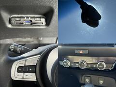 ʤΤ㤤ʪĹΥɥ饤֤Ǥ¤Ƥޤ 6