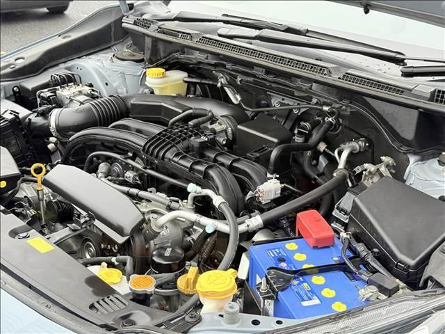 �l�b�g�A�Ɣ̔̔����X�̓�����A�ˑR����ς݂ɂȂ鎖��������܂��B���e�͒����܂��悤��낵�����肢�v���܂��B