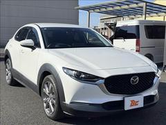 ��������ò�������Ź�Ǥ�����ͽ�����٤Ȥ����Ƥ���������¾�Τ����ͤ򵤤ˤ����ˤ����Ĥ����������� 5