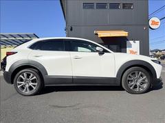 ��ä����Τ��ʰ¿�����Ź�϶ȳ���¿�����ݾڤ⤴�Ѱդ��Ƥ���ޤ��� 7