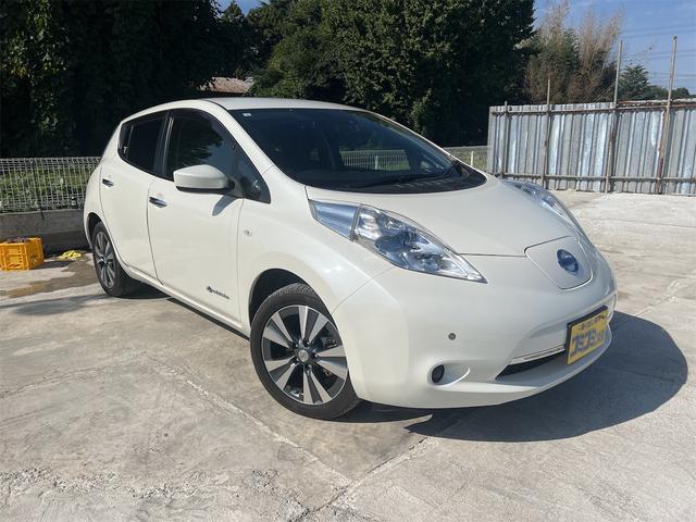 リーフ Ｘ　サンクスエディション（３０ｋｗｈ）　ドライブレコーダー　バックカメラ　ナビ　ＴＶ　クリアランスソナー　オートクルーズコントロール　衝突被害軽減システム　ＬＥＤヘッドランプ　スマートキー　シートヒーター　ＣＶＴ　盗難防止システム（7枚目）