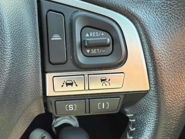 フォレスター Ｓ－リミテッド　４ＷＤ　ドライブレコーダー　ＥＴＣ　バックカメラ　オートクルーズコントロール　レーンアシスト　衝突被害軽減システム　ナビ　ＴＶ　オートライト　ＬＥＤヘッドランプ　ヘッドライトウォッシャー（27枚目）