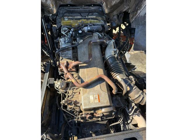 プロフィア （18枚目）