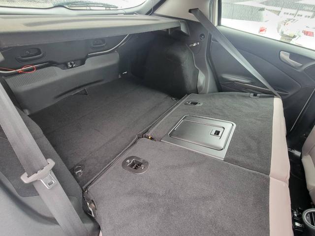 ジュリエッタ （15枚目）