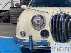 �ӥ塼�� ����åɥ쥶��Ĵ�����ȡ����ޡ��ȥ��� 0404648A30251129W009 7