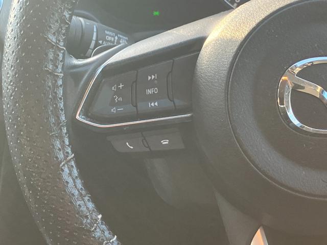 アクセラ ２２ＸＤ　プロアクティブ　ＬＥＤヘッドライト　衝突軽減ブレーキ　レーンアシスト　ＨＵＤ　クルーズコントロール　純正ナビゲーション　ＥＴＣ（31枚目）