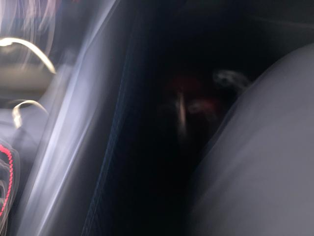 レヴォーグ GT-H EX ワンオーナー アイサイト アダプティブクルーズコントロール レーンキーピング バックカメラ サイドカメラ 電動リアゲート 18インチAW 純正ナビ Bluetooth フルセグ ETC(48枚目)