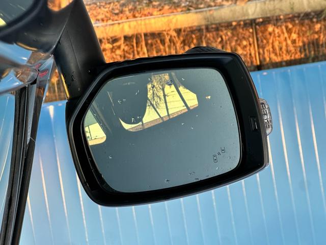 レヴォーグ １．６ＧＴ－Ｓアイサイト　４ＷＤ　パドルシフト　純正ＳＤナビ　ステアリングスイッチ　パーキングアシスト　アクティブクルーズコントロール　クリアランスソナー　バックカメラ　左サイドカメラ　衝突被害軽減ブレーキ　レーンアシスト（44枚目）