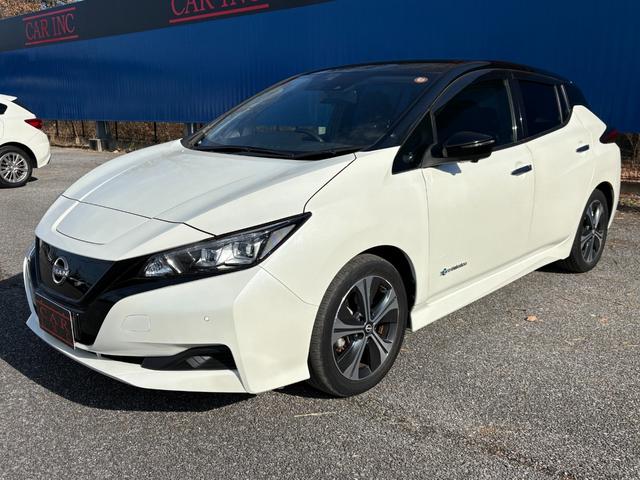 リーフ Ｘ　Ｖセレクション　ワンオーナー　プロパイロット　ＴＶキャンセラー　ＡｐｐｌｅＣａｒＰｌａｙ　アクティブクルーズコントロール　純正ナビ　Ｂｌｕｅｔｏｏｔｈオーディオ　フルセグＴＶ　アラウンドビューモニター　ＥＴＣ（15枚目）