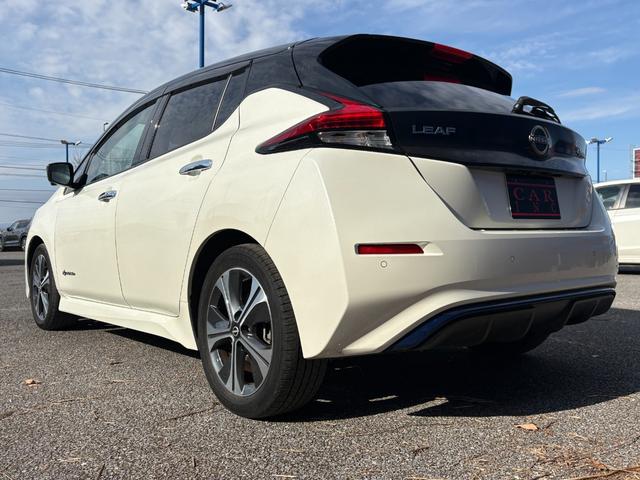 リーフ Ｘ　Ｖセレクション　ワンオーナー　プロパイロット　ＴＶキャンセラー　ＡｐｐｌｅＣａｒＰｌａｙ　アクティブクルーズコントロール　純正ナビ　Ｂｌｕｅｔｏｏｔｈオーディオ　フルセグＴＶ　アラウンドビューモニター　ＥＴＣ（46枚目）