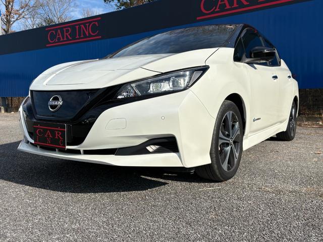 リーフ Ｘ　Ｖセレクション　ワンオーナー　プロパイロット　ＴＶキャンセラー　ＡｐｐｌｅＣａｒＰｌａｙ　アクティブクルーズコントロール　純正ナビ　Ｂｌｕｅｔｏｏｔｈオーディオ　フルセグＴＶ　アラウンドビューモニター　ＥＴＣ（47枚目）