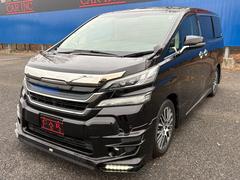 �ã��ңɣΣñ��Եܥ��󥿡��ѡ���Ź�����ڸ��������ո�������븩��Ź��Ÿ���桪���߸ˣ���������Ķ����ꤿ���ä��֤����äȸ��Ĥ��롪 7