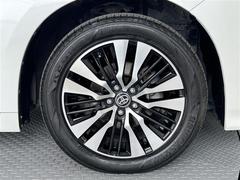 ���ݡ��ƥ��ʰ��ݤ�Ϳ��������ۥ�����Ǥ����ɤ��ޤǤ����äƤ��������ʤ�褦�ʥǥ�����Ǥ��͢� 6