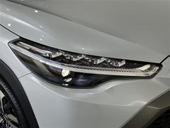 �������饯���� �ϥ��֥�åɡ��� 0404653A20260126T002 6