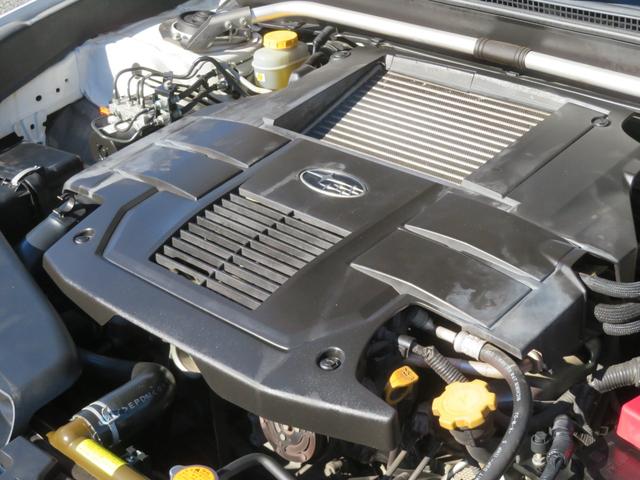 �O�̃I�[�i�[�l�A�ƂĂ��厖�ɏ���Ă��܂����B���T���̕��A�����ڂɁ�