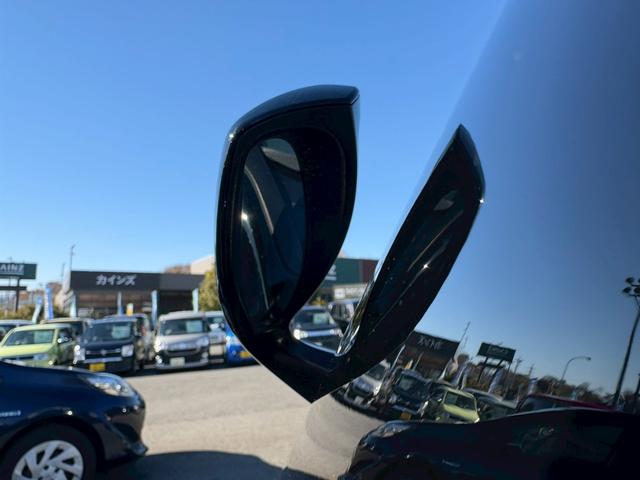 アルファード ２．５Ｓ　禁煙車　アルパイン１０インチナビ　フルセグ　Ｂｌｕｅｔｏｏｔｈ　ＨＤＭＩ　バックカメラ　１２．８インチフリップダウンモニター　レーダークルーズコントロール　両側自動スライドドア　ビルドインＥＴＣ（45枚目）