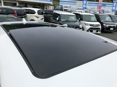 ϥꥢ ץߥࡡɥХ󥹥ɥѥåԣңĥر֡롼 0500061A30251105W003 5