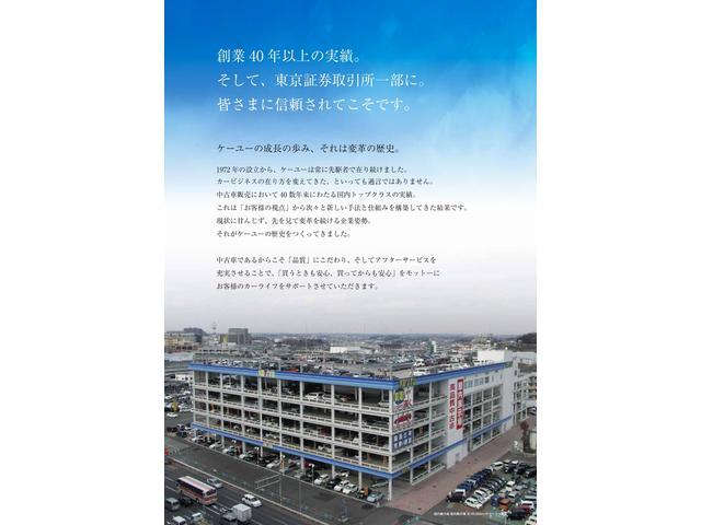 YY SDナビ ワンセグ DVD 両側スラドドア(34枚目)