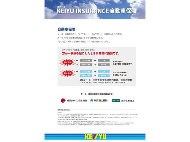YY SDナビ ワンセグ DVD 両側スラドドア(45枚目)