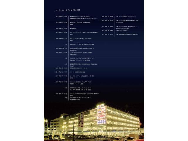 YY SDナビ ワンセグ DVD 両側スラドドア(46枚目)