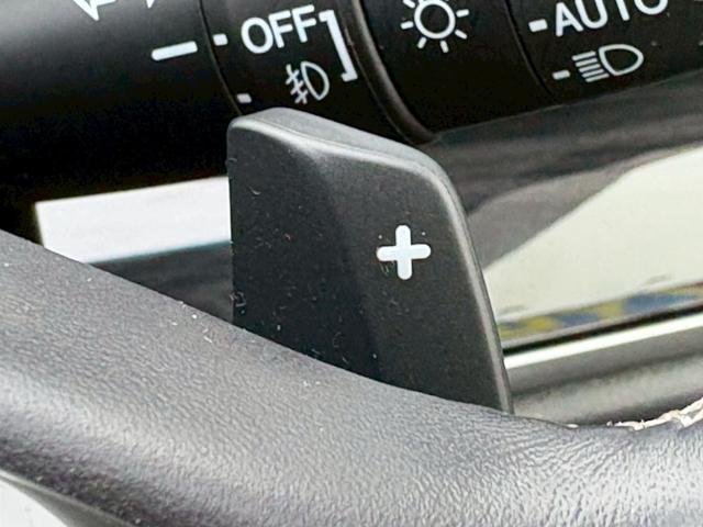 オデッセイ アブソルート・EXホンダセンシング 本革シート 禁煙 衝突被害軽減システム 全方位カメラ ブラインドスポットモニター 純正ナビ フルセグ CD DVD USB Bluetooth 両側パワースライドドア フリップダウンモニター(29枚目)