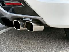 ϥꥢ ץߥࡡ⡼ر졡롼աǥꥹ 0500068A30251124W001 7