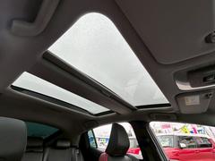 �ץꥦ�� �ڡ��Уȣ֡��ڡ����������������ʥӡ��ࡼ��롼�� 0500068A30251224W007 6