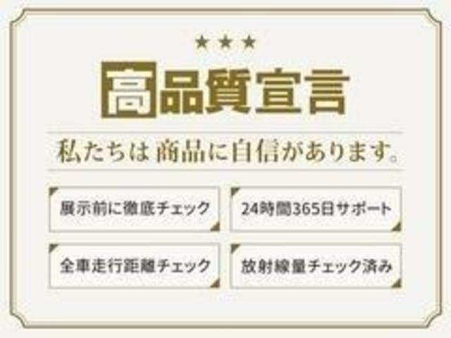 VP 禁煙車 盗難防止装置 ヘッドライトレベライザー キーレス Wエアバック 保証書(35枚目)