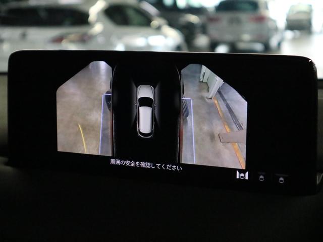 ＣＸ－８ ２５Ｓ　ブラックトーンエディション　３６０°ビュー　ＢＳＭ　ＨＵＤ　レーダークルーズ　ＥＴＣ　前後席シート・ステアヒーター　ワイヤレス充電　ハンズフリーパワーリフトゲート　マツダコネクト　ＢＴオーディオ　フルセグ　衝突軽減　車線逸脱警報（32枚目）