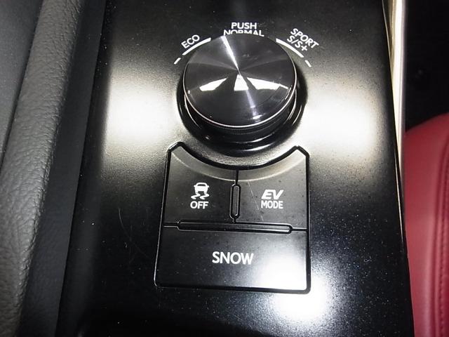 ＩＳ ＩＳ３００ｈ　Ｆスポーツ　ムーンルーフ　ＢＳＭ　衝突軽減　車線逸脱警報　レーダークルーズ　パドルシフト　ＥＴＣ２．０　本革メモリーシート　ベンチレーション　純正ナビ　バックカメラ　ブルーレイ　クリアランスソナー　ＬＥＤランプ（34枚目）