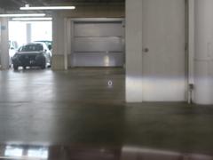 ץϤ󡢼ҳΥʥӤեåץ˥ɥ饤֥쥳ţԣͤΤ˾Υץդǽͤˤ뾦ʻߡդΤߤб⤷Ƥޤ 4