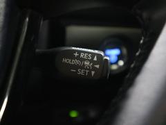 �ץꥦ�� �ӥġ���󥰥��쥯����󡡥֥�å����ǥ�����󡡥ѥΥ�ߥå��ӥ塼�������ȥҡ����������������ʥ� 0500075A20251228K025 7