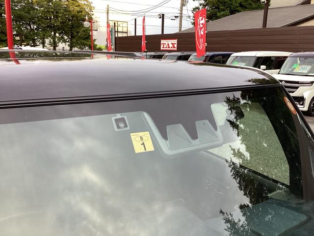 タフト Gターボ クロムベンチャー(11枚目)