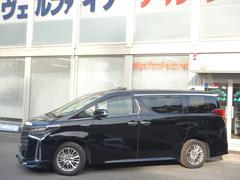 ����ե����ɥϥ��֥�åɣ����ӣҡ��åѥå��������ףġ��ԣңĥ����� 3